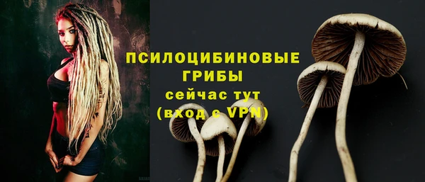 СК Аркадак