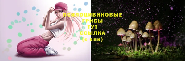 spice Арсеньев