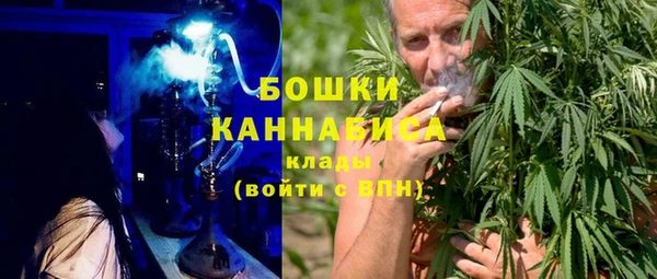 СК Аркадак
