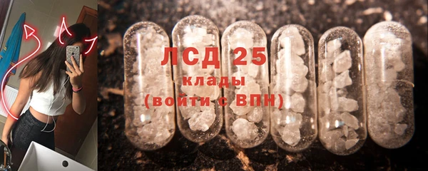 СК Аркадак